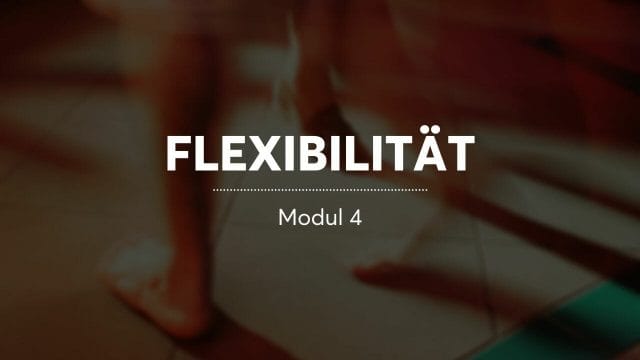 Musikalitäts-Kurs: Modul 4 Flexibilität