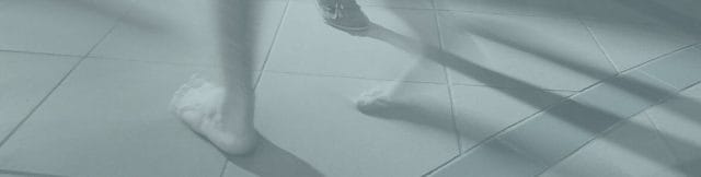 Roots-Crashkurs | FdC@Home
